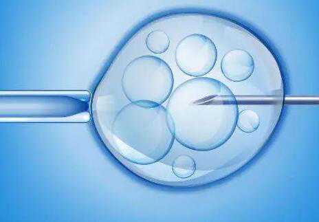 找一个代孕_代孕好吗_分析：大龄只有一个卵泡，美国试管婴儿能取卵成功吗？