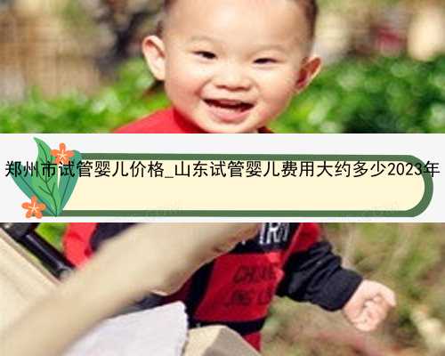 郑州市试管婴儿价格_山东试管婴儿费用大约多少2023年
